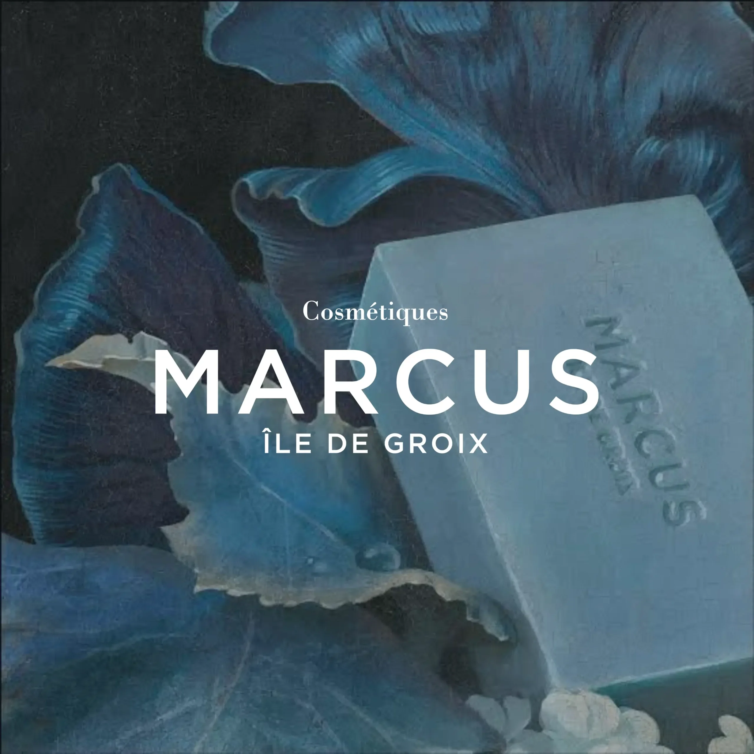 Communication print et digitale — Marcus Île de Groix par Liv'enn